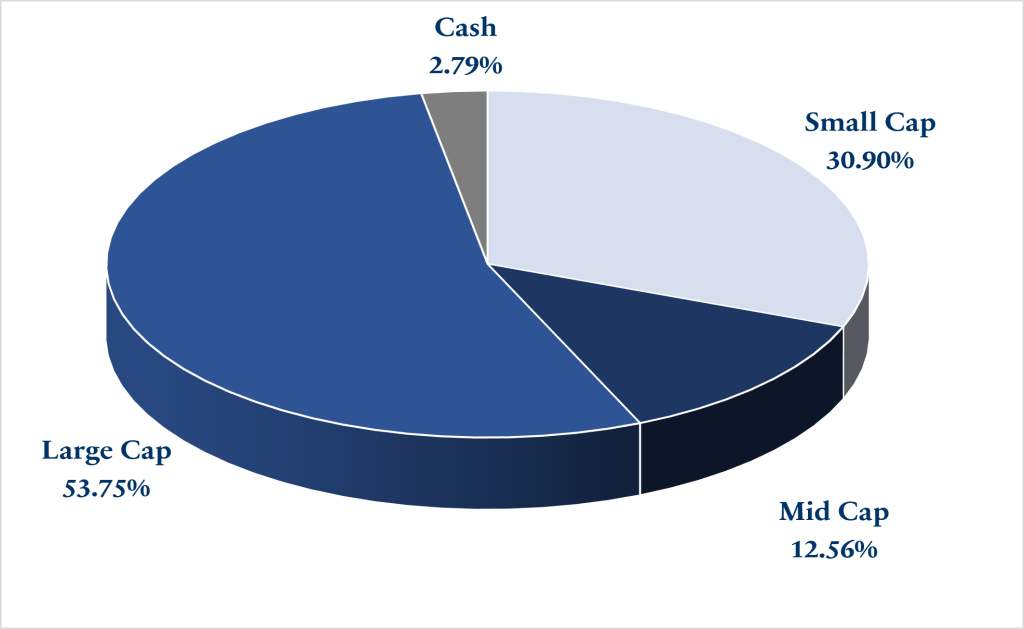 Pie chart showing KSEMA MultiCap Market Cap Allocation for June 2026: Large Cap 53.75%, Small Cap 30.90%, Mid Cap 12.56%, and Cash 2.79%.